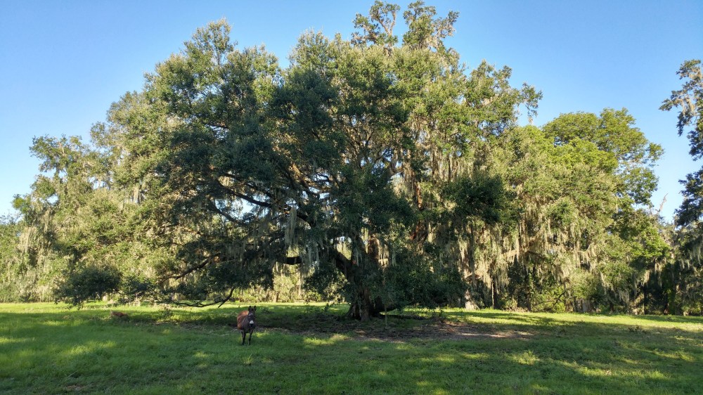 20170914_090821_HDR-2656x1494