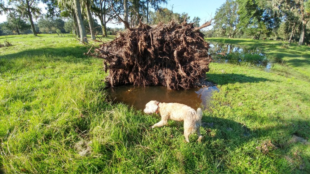 20170914_091127_HDR-1920x1080