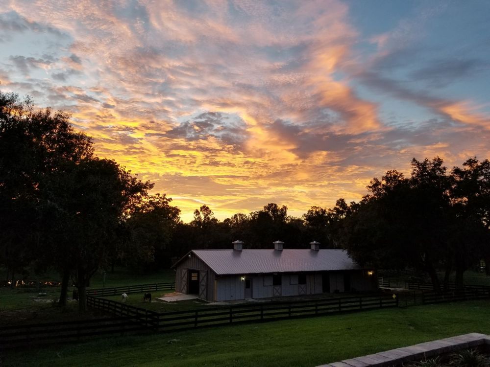 21765393_10215080272267276_3915731332345645153_o