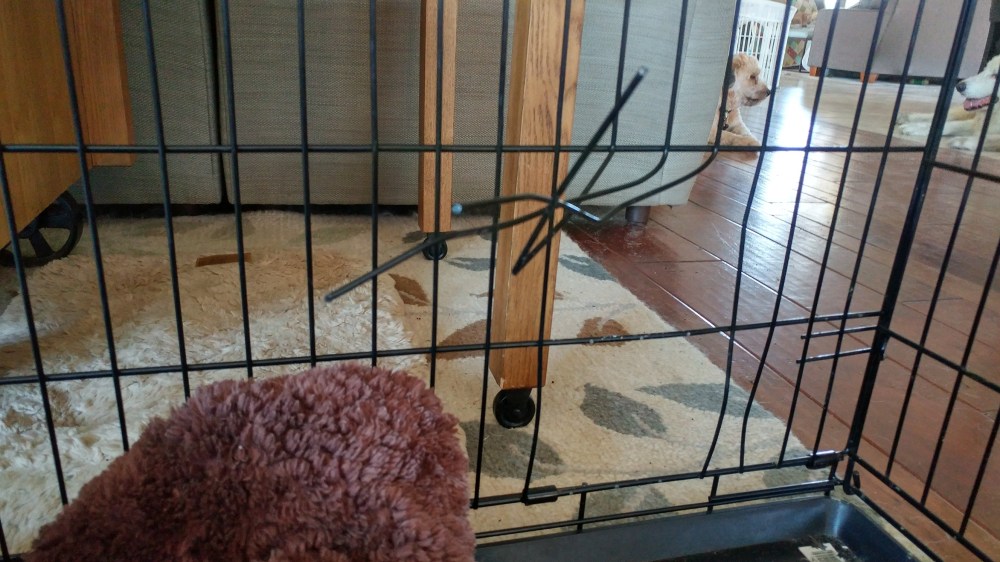 20170928_113648_HDR-2656x1494