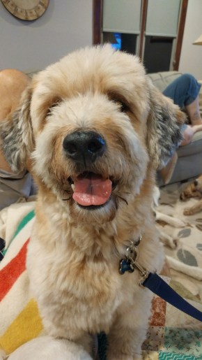 20170930_220559_HDR-1494x2656