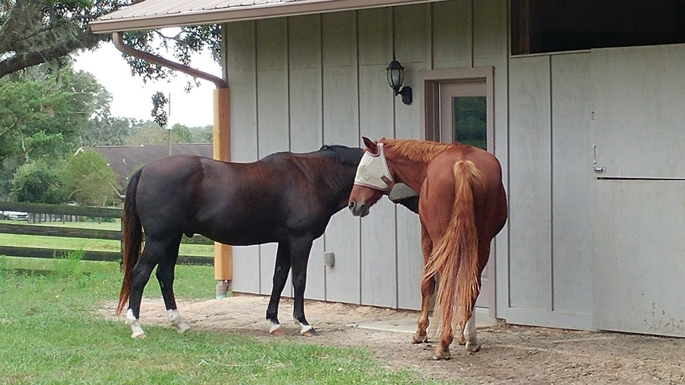 20171001_180209_HDR-2656x1494