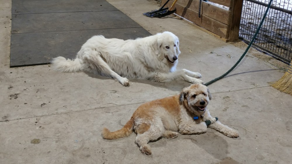 20171002_091006_HDR-2656x1494