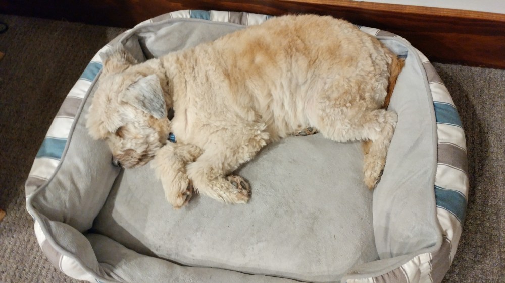 20171031_212035_HDR-2656x1494