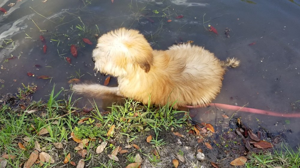 20180224_153011-1280x720