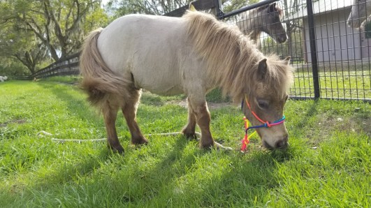 20180225_155621-1280x720