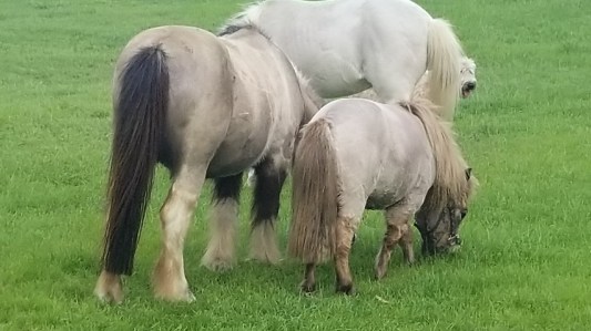 20180226_174627-1280x720